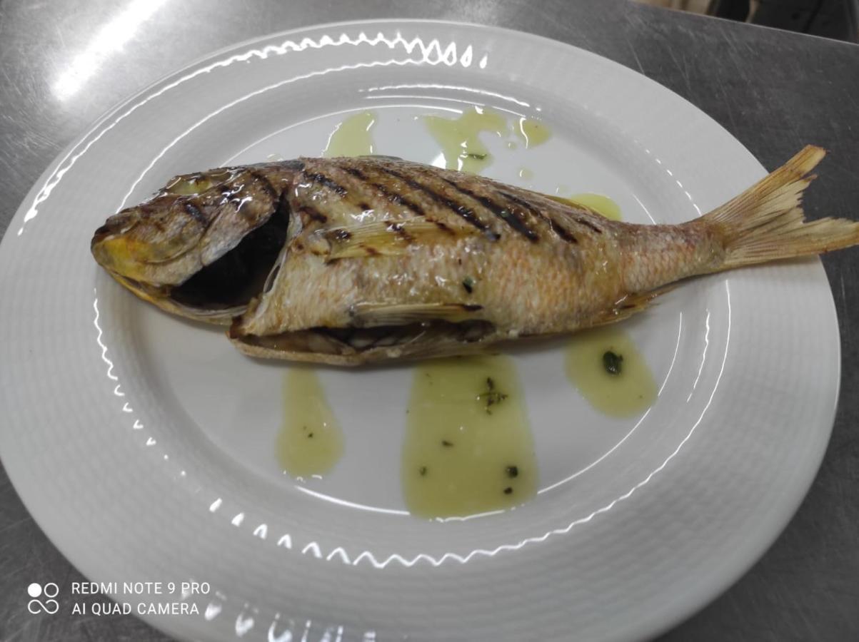 Hotel La Fattoria Sul Mare 梵蒂冈角 外观 照片